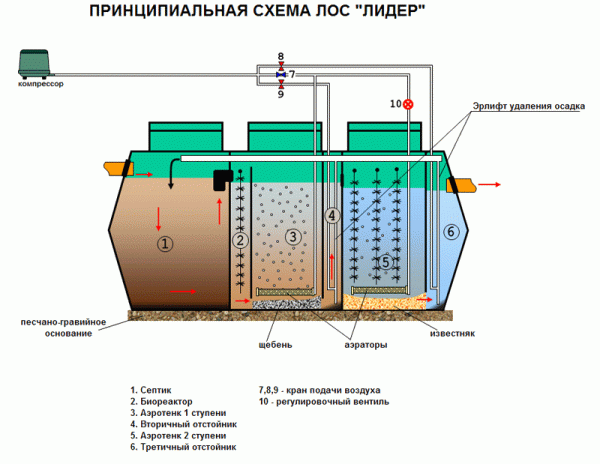 Септик Лидер 8